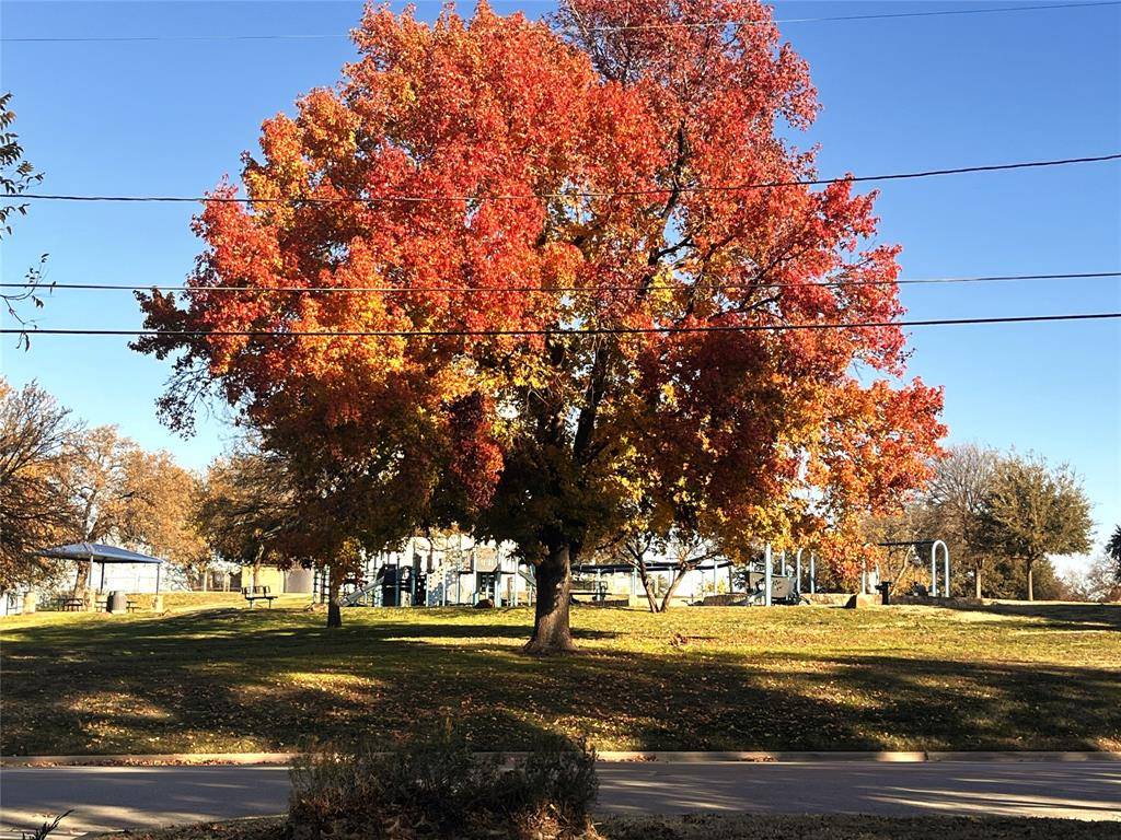 Denton, TX 76201,2271 Scripture Street