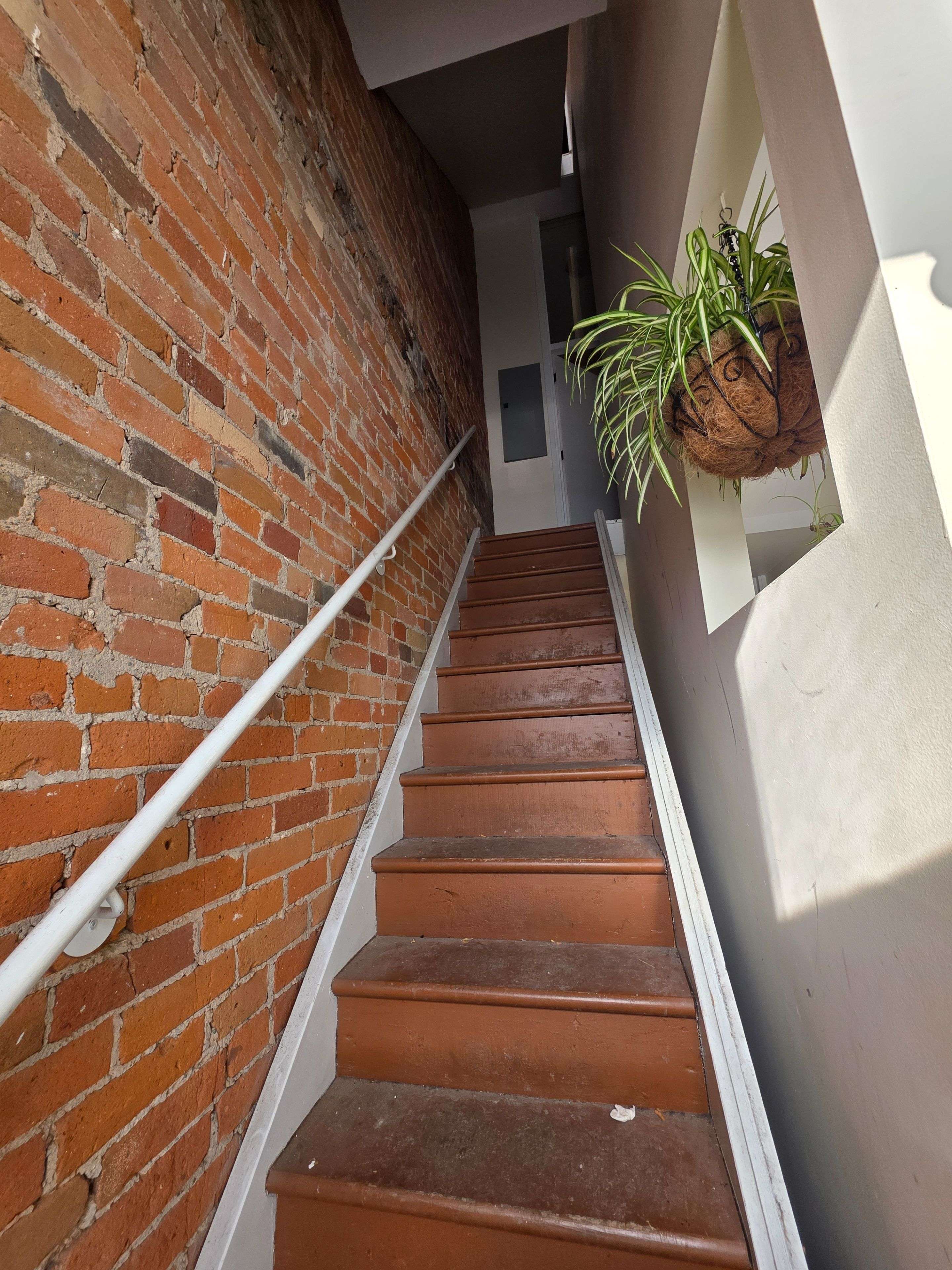 Toronto C08, ON M5A 1V8,126 Shuter ST #3