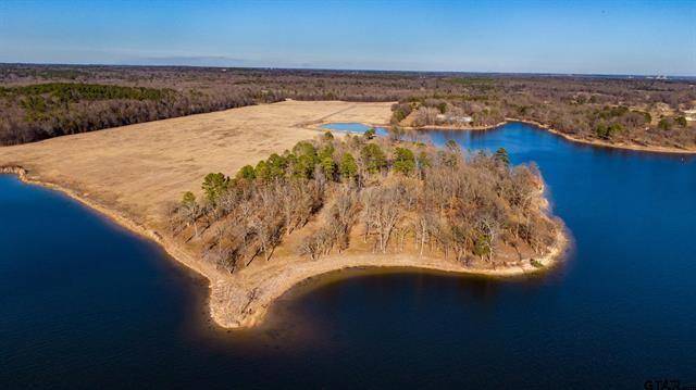 Lot 10 Eagles Nest Circle, Mount Vernon, TX 75457