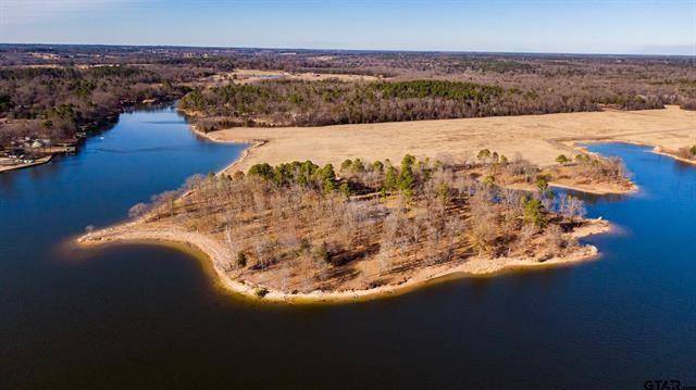 Lot 10 Eagles Nest Circle, Mount Vernon, TX 75457
