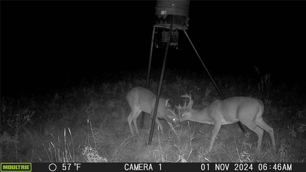 Rising Star, TX 76857,TBD CR 131