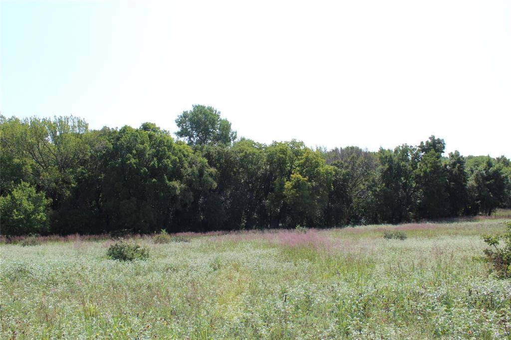 Montague, TX 76251,0000 Blackjack Parkway