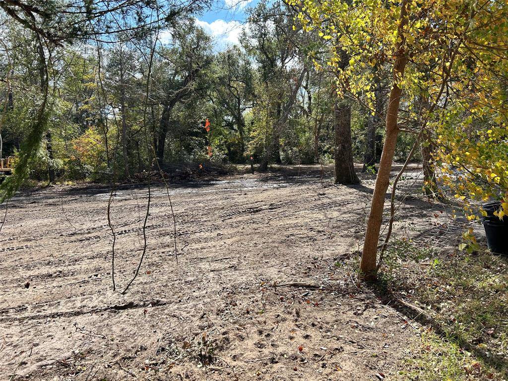 Hilltop Lakes, TX 77871,TBD golf way