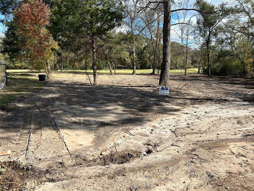 Hilltop Lakes, TX 77871,TBD golf way