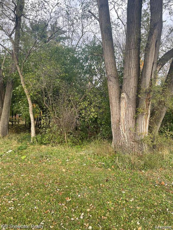 Commerce Twp, MI 48382,0000 Reed Lake RD