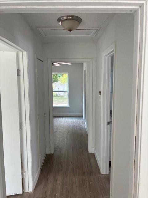 Greenville, TX 75401,1107 Pecan Drive