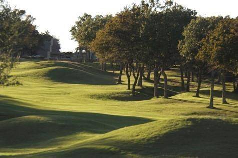 Lipan, TX 76462,Lot 17 Lakeside Drive