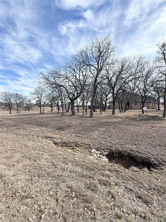 Lipan, TX 76462,Lot 17 Lakeside Drive