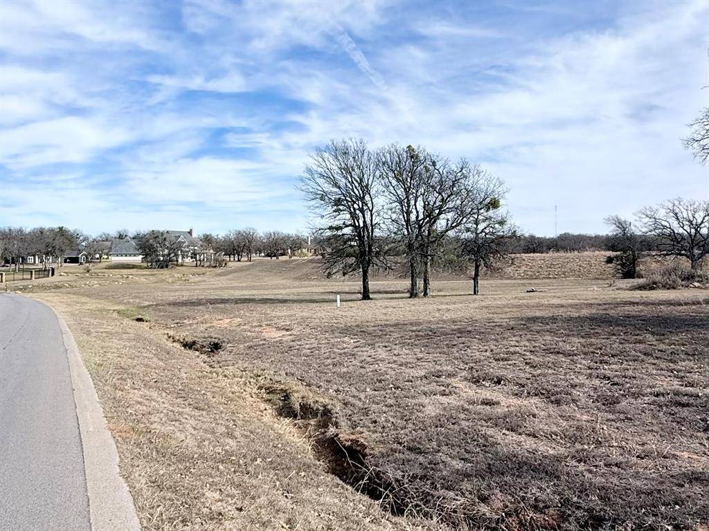 Lipan, TX 76462,Lot 17 Lakeside Drive