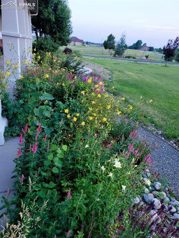 Colorado Springs, CO 80908,16815 Papago WAY