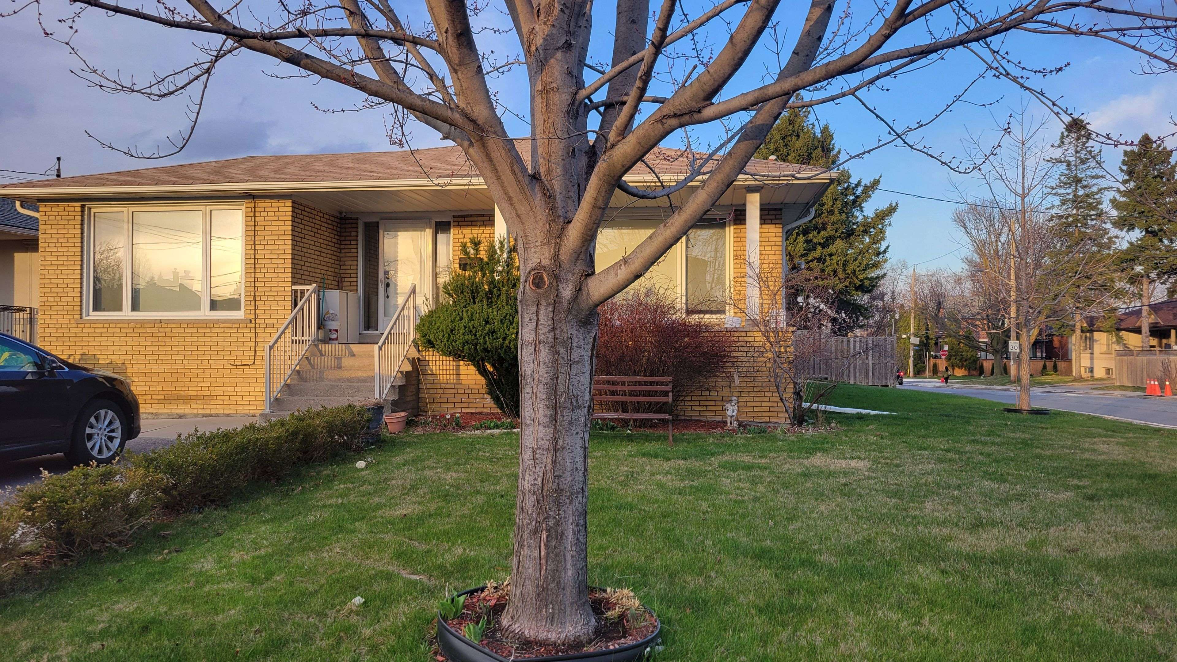 Toronto C06, ON M3H 5N9,1 Evanston DR #Lower