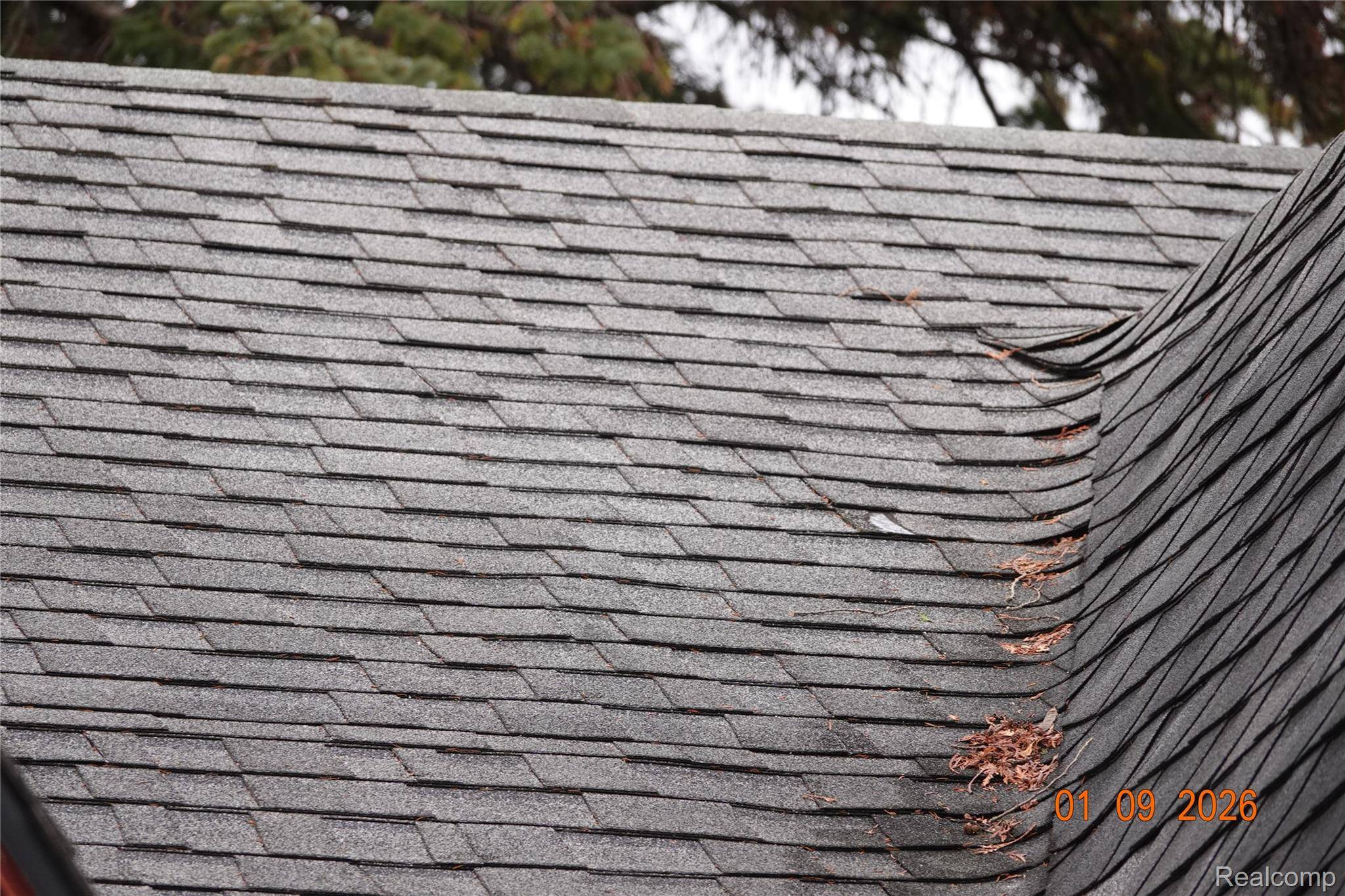 Detroit, MI 48228,11646 Glastonbury AVE