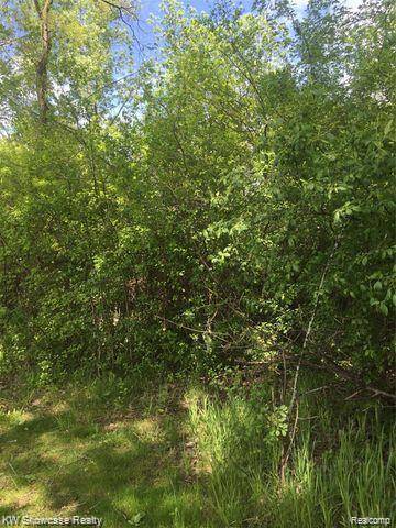 Highland, MI 48356,0000 HIghland Park DR