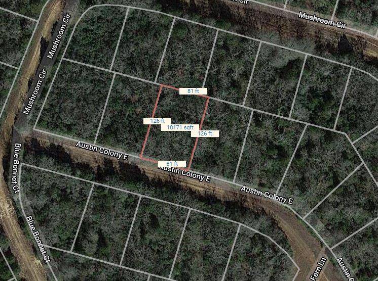 Normangee, TX 77871,Lot 51 E Austin Colony