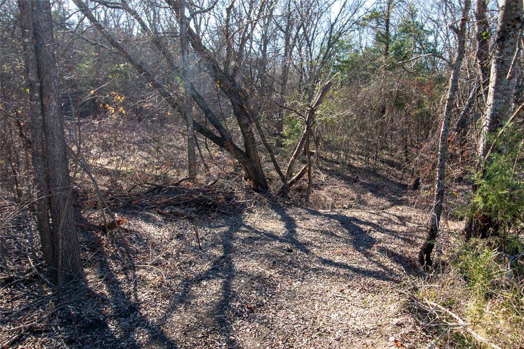 Dodd City, TX 75438,Lot 2 County Road 2905