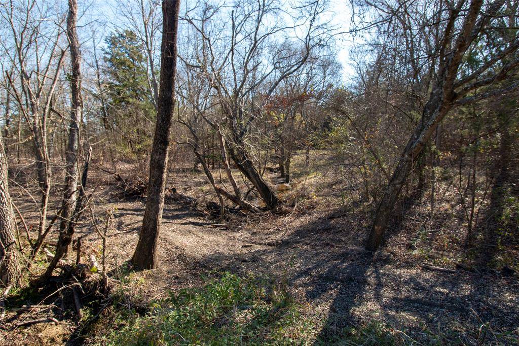 Dodd City, TX 75438,Lot 2 County Road 2905