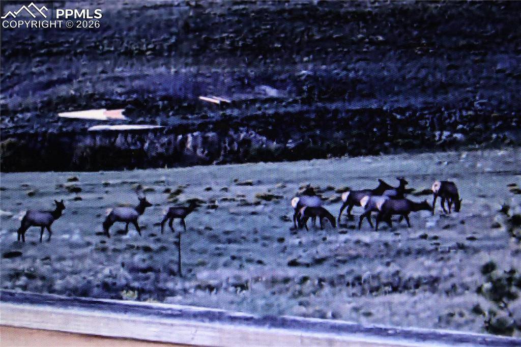 Hartsel, CO 80449,79 Quail CT