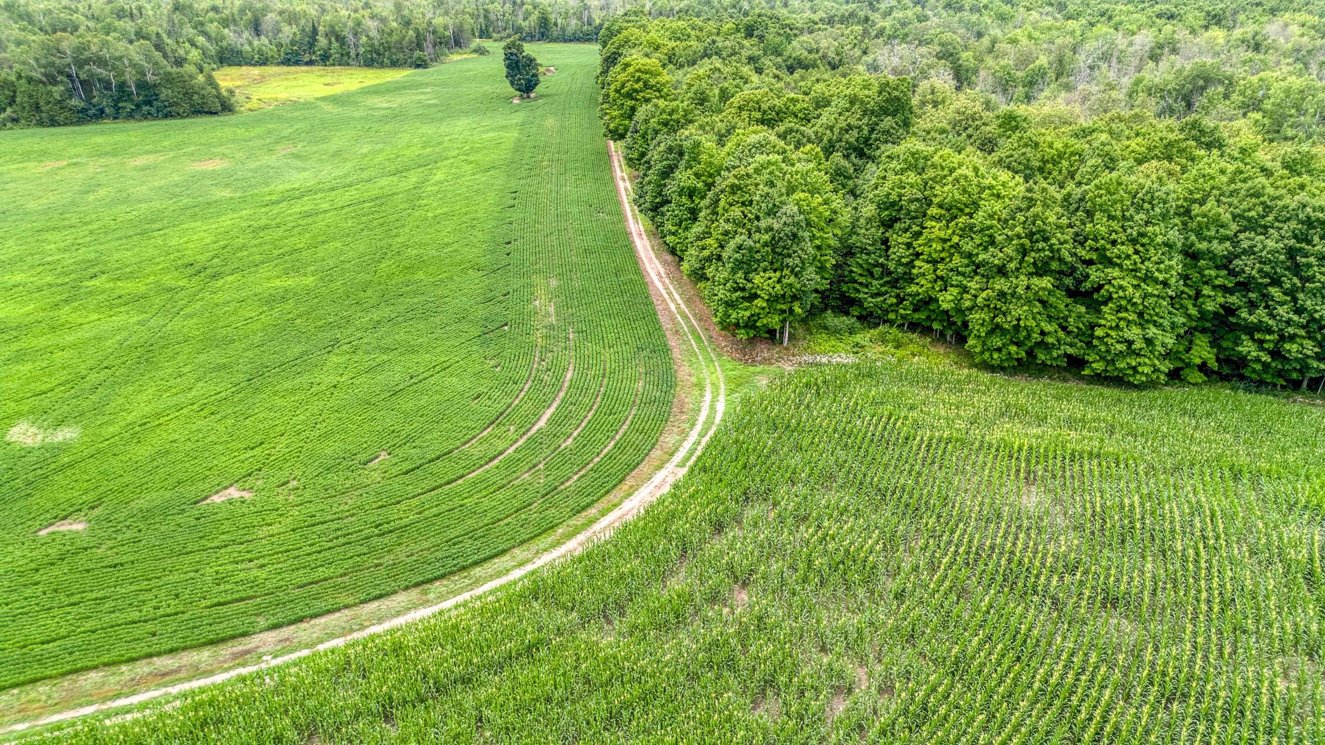 Drummond/north Elmsley, ON K7H 3C3,1998 Drummond Concession 2 Concession