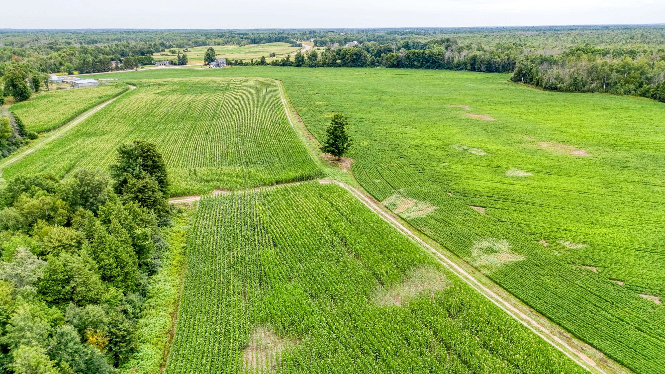 Drummond/north Elmsley, ON K7H 3C3,1998 Drummond Concession 2 Concession