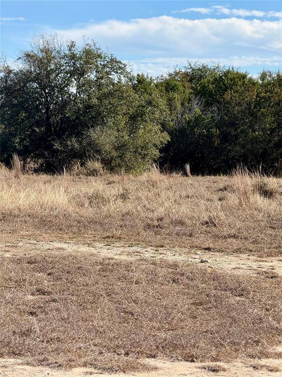 Bluff Dale, TX 76433,0 Private Road 873