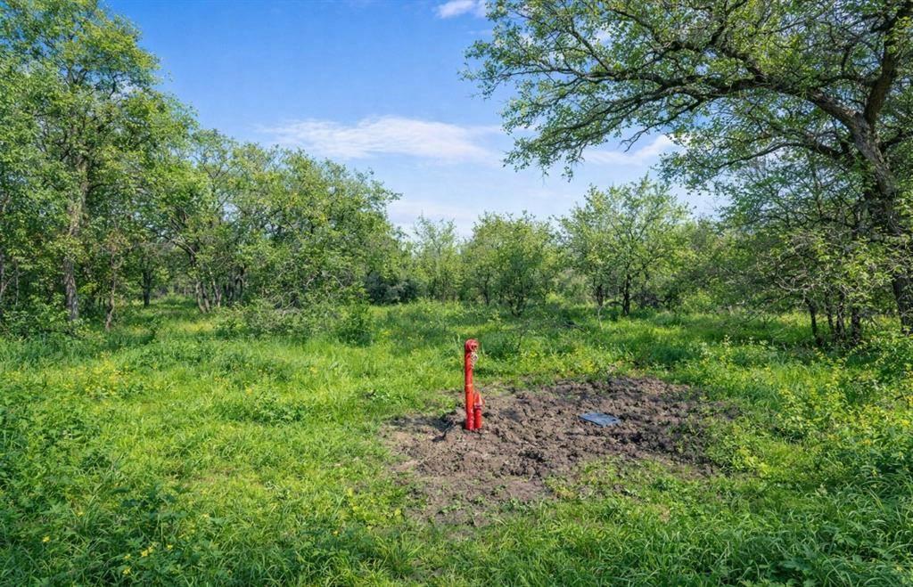 Aquilla, TX 76622,1029 FM 2114