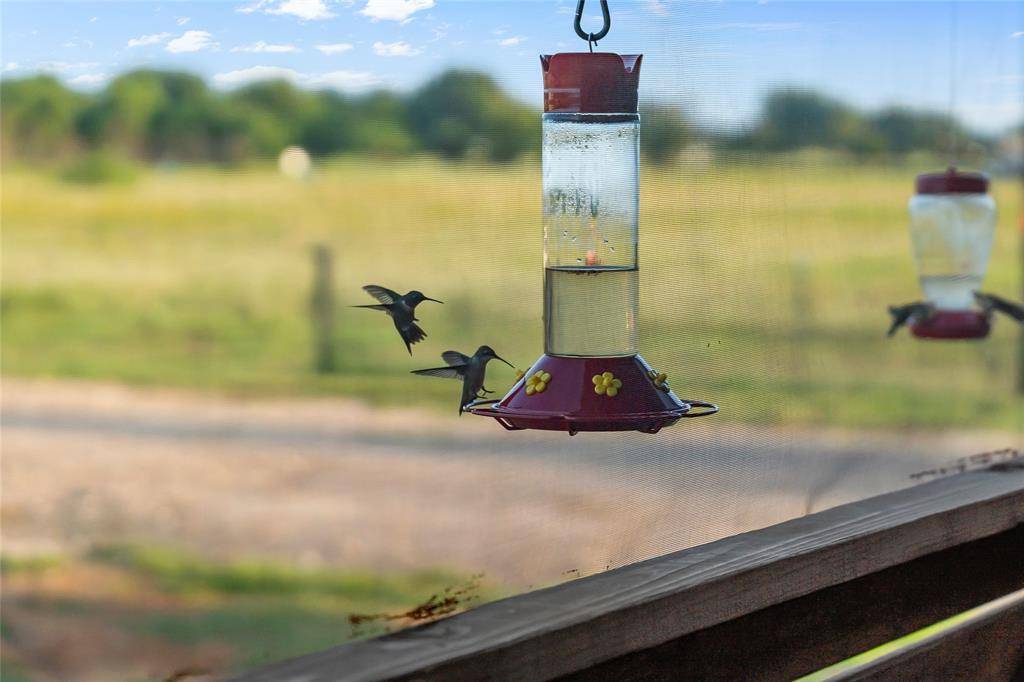 Kemp, TX 75143,11757 County Road 2429