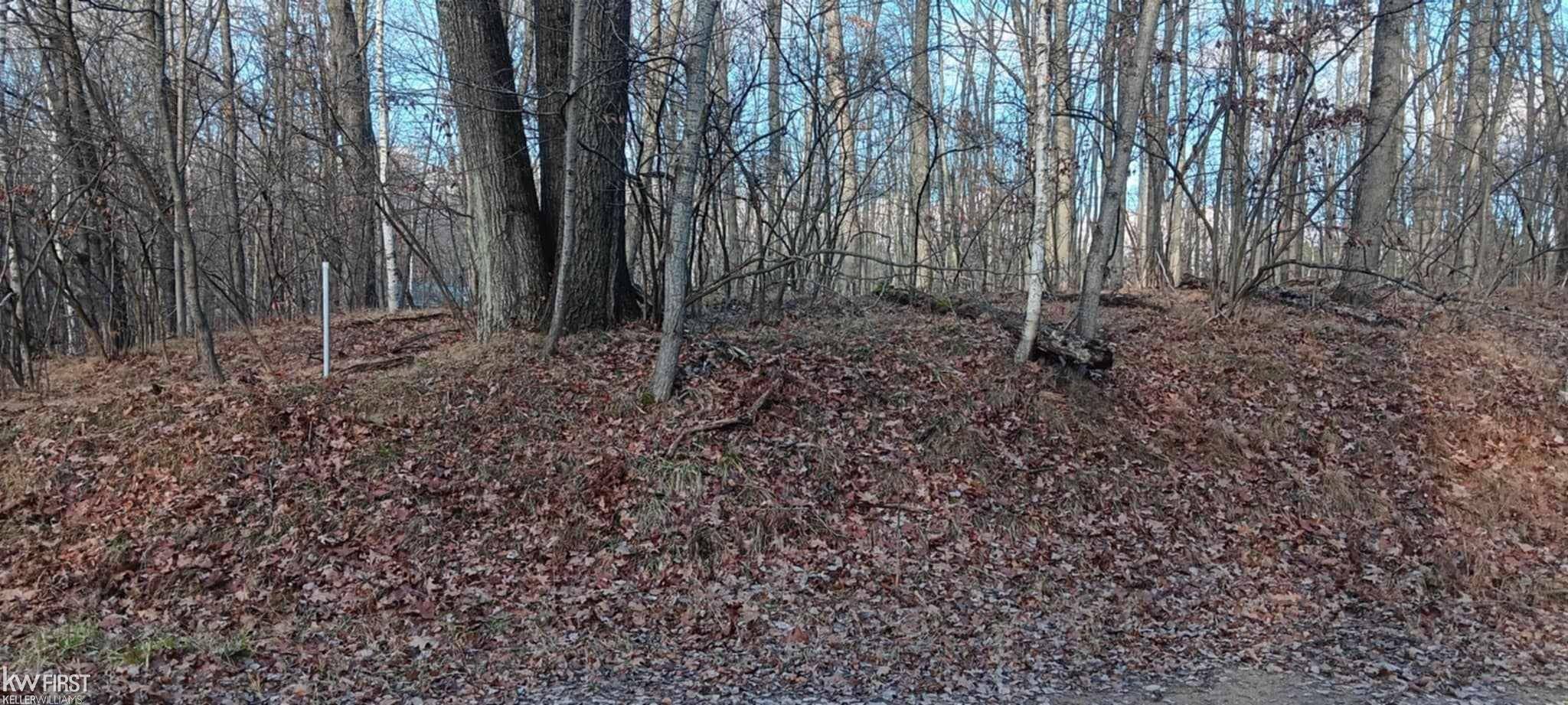 Farwell, MI 48622,1782 Hemlock LN