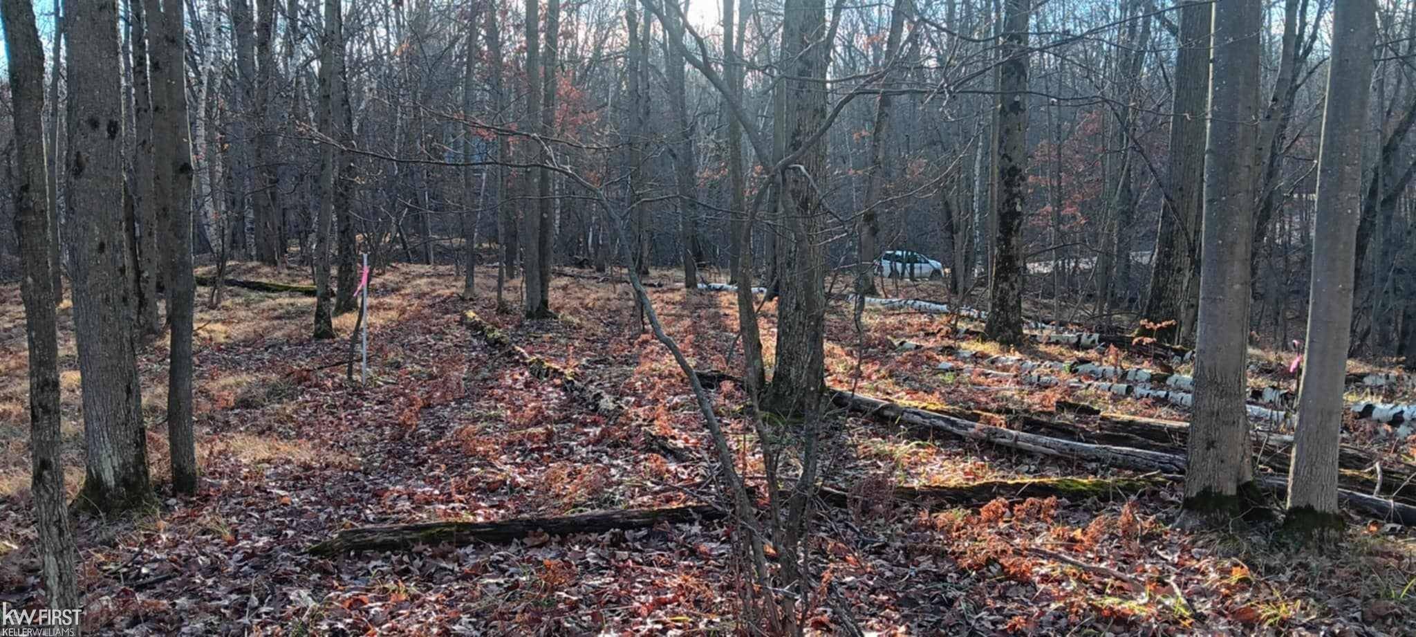 Farwell, MI 48622,1782 Hemlock LN