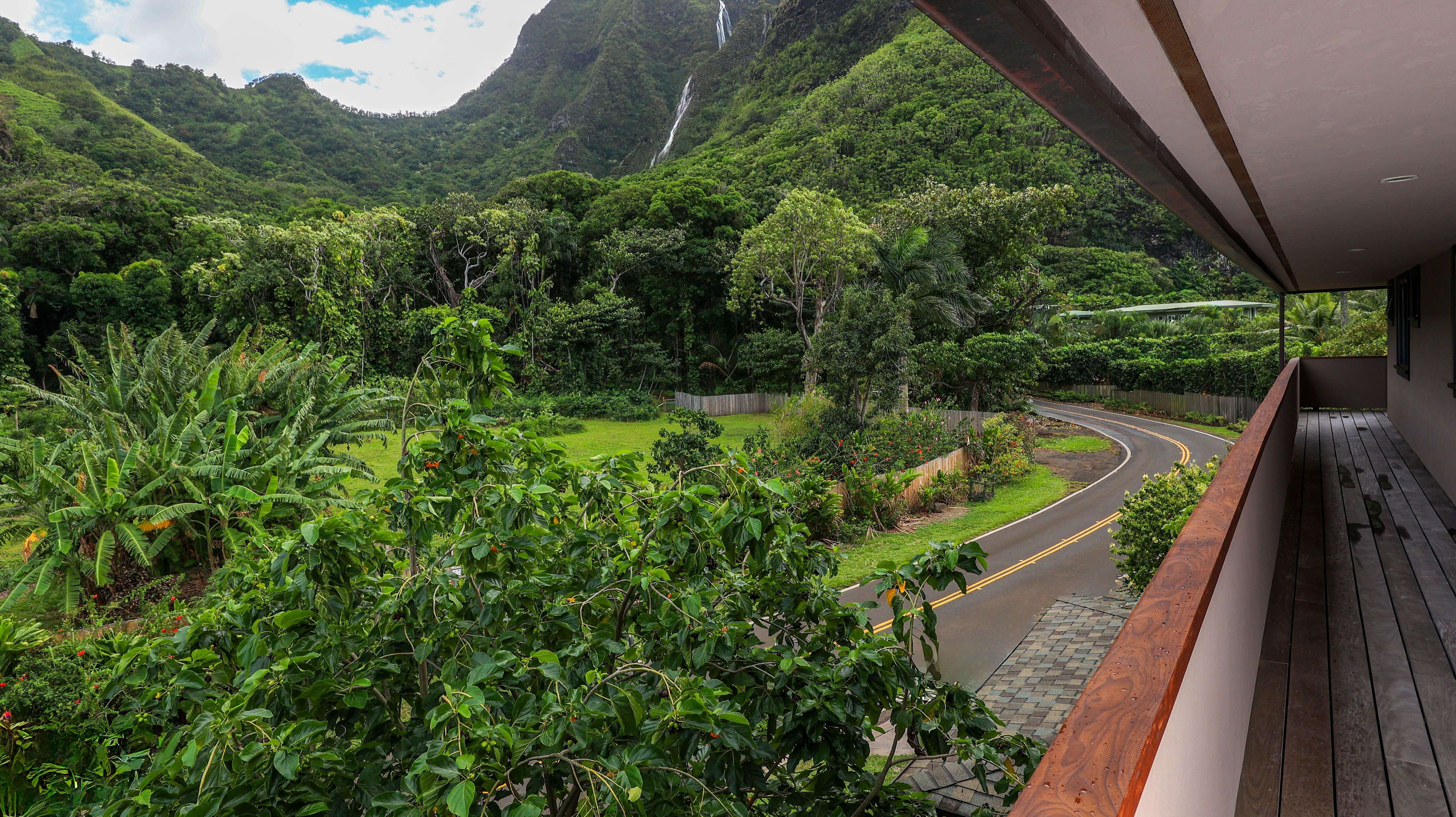 Hanalei, HI 96714,5-7834 KUHIO HWY