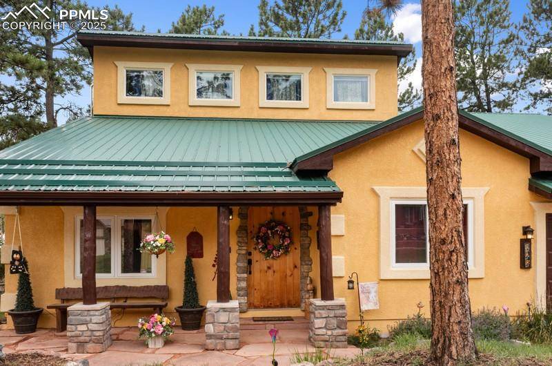 Woodland Park, CO 80863,311 Panther CT