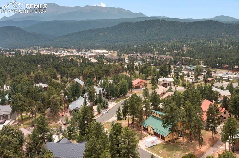 Woodland Park, CO 80863,311 Panther CT