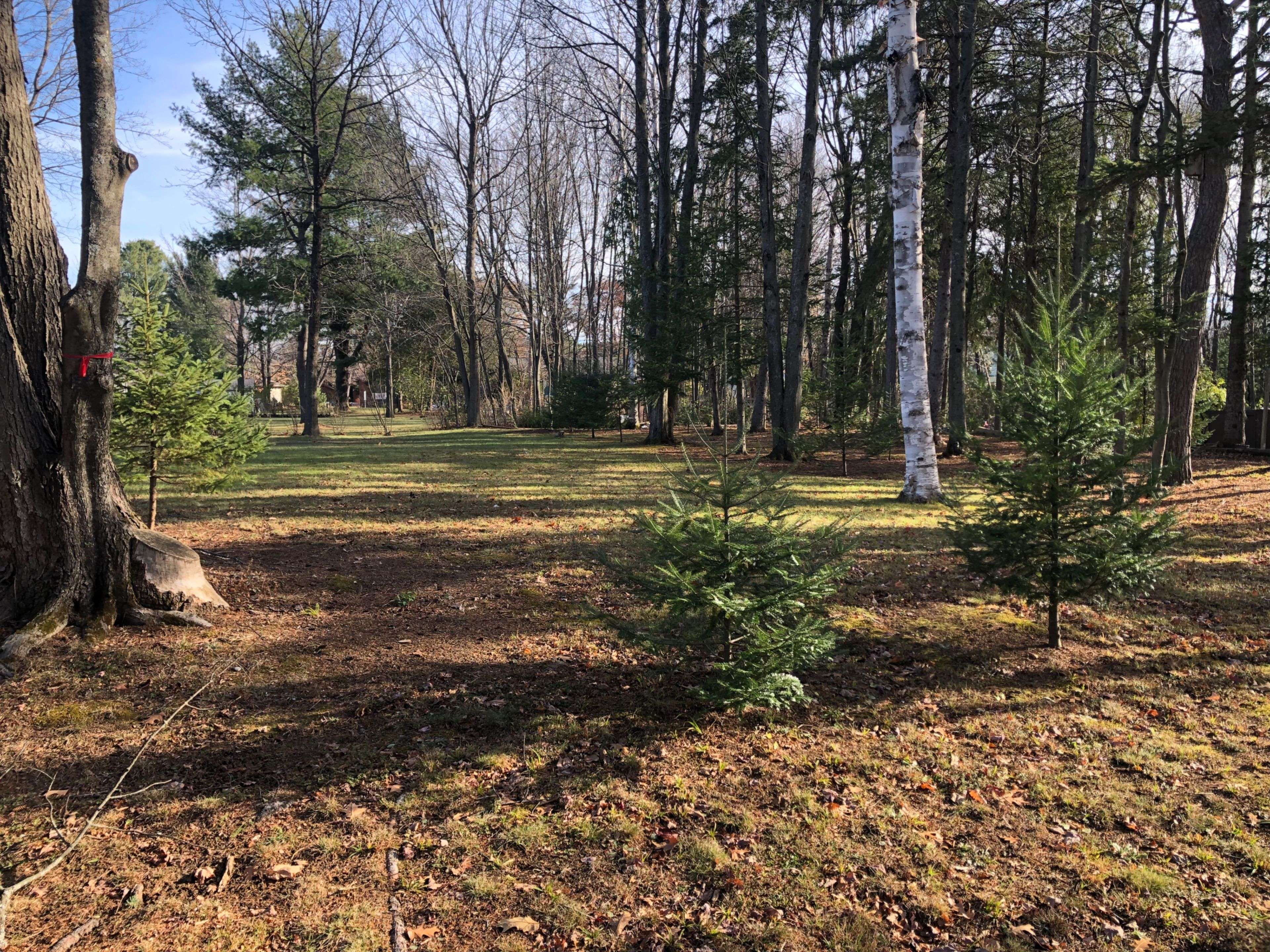 Tanglewood - Grenfell Glen - Pineglen, ON K2G 0C2,65 Vaan DR