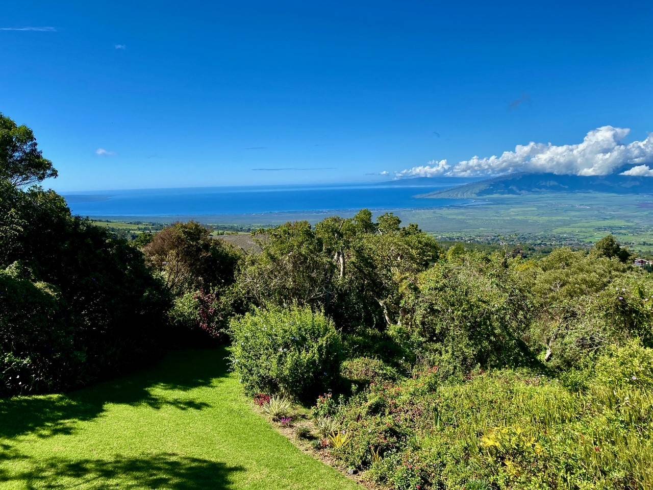 Kula, HI 96790,1-7526 HALEAKALA HWY