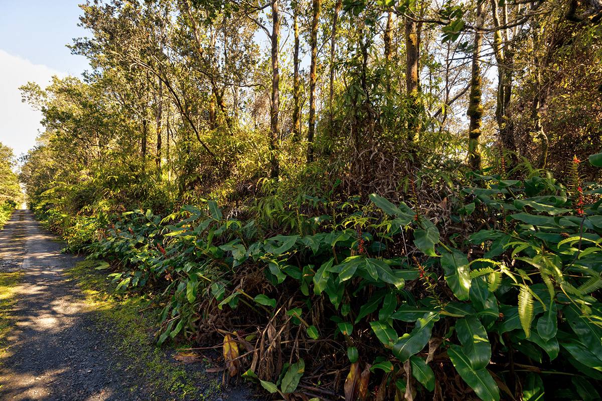 Volcano, HI 96785,9TH ST