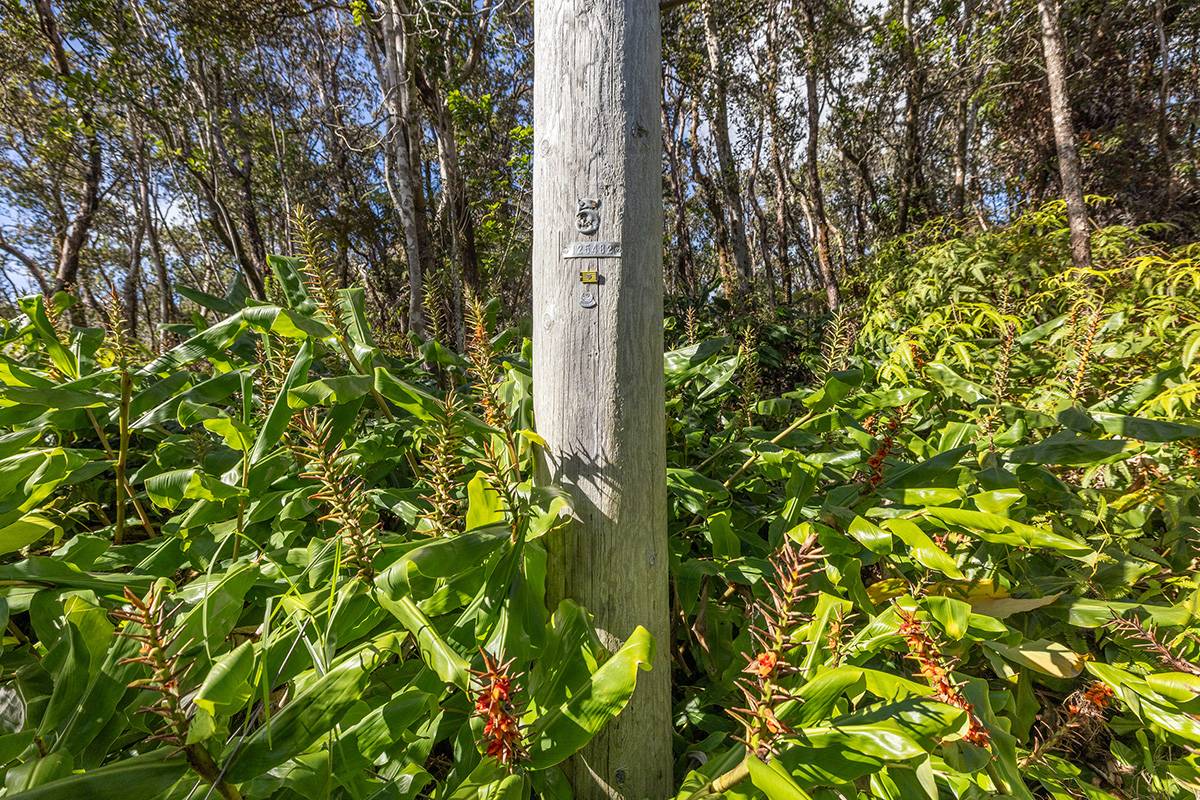 9TH ST, Volcano, HI 96785