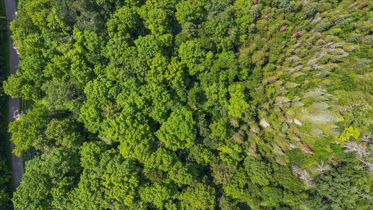 Tweed, ON K0K 3J0,0 Rapids CT