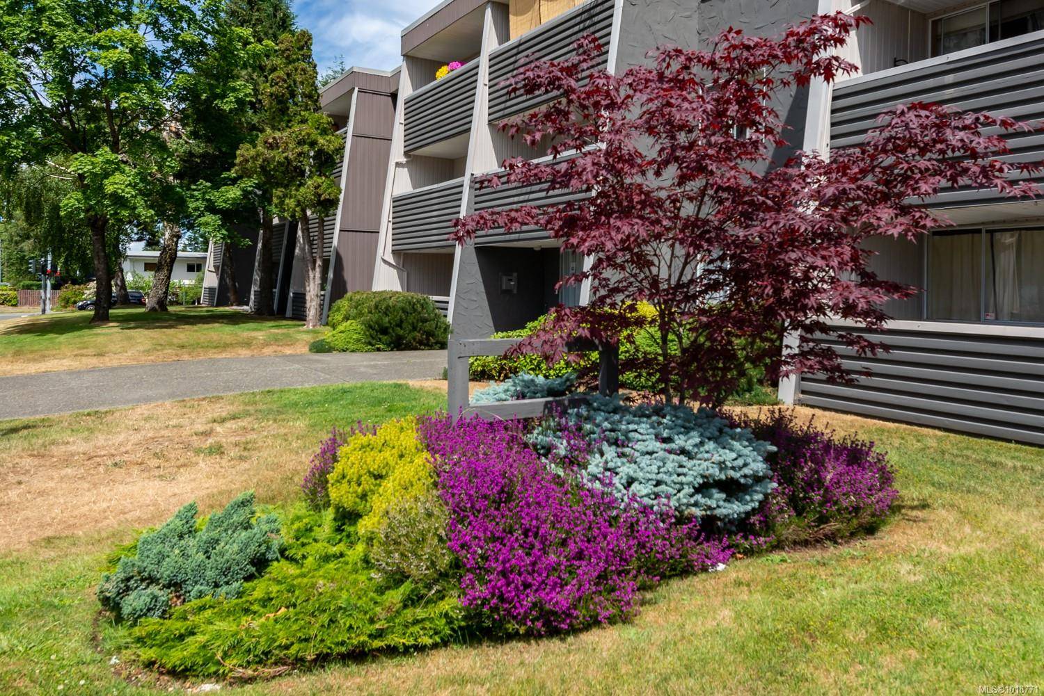 Campbell River, BC V9W 2V1,377 Dogwood St S #311