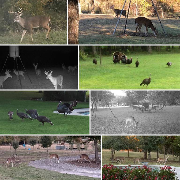 Cleburne, TX 76033,3750 Preakness Court