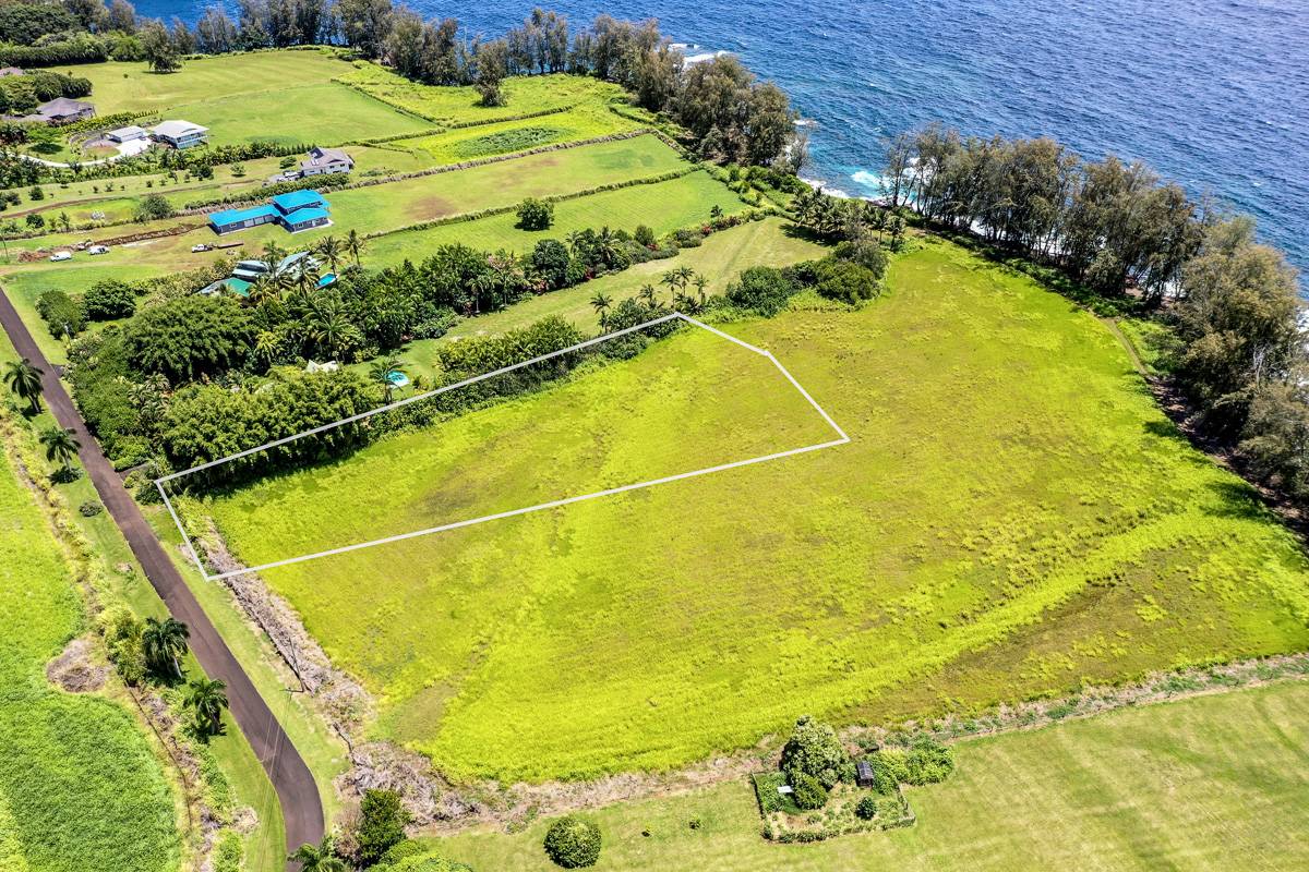 Pepeekeo, HI 96783,28-3280 BEACH RD