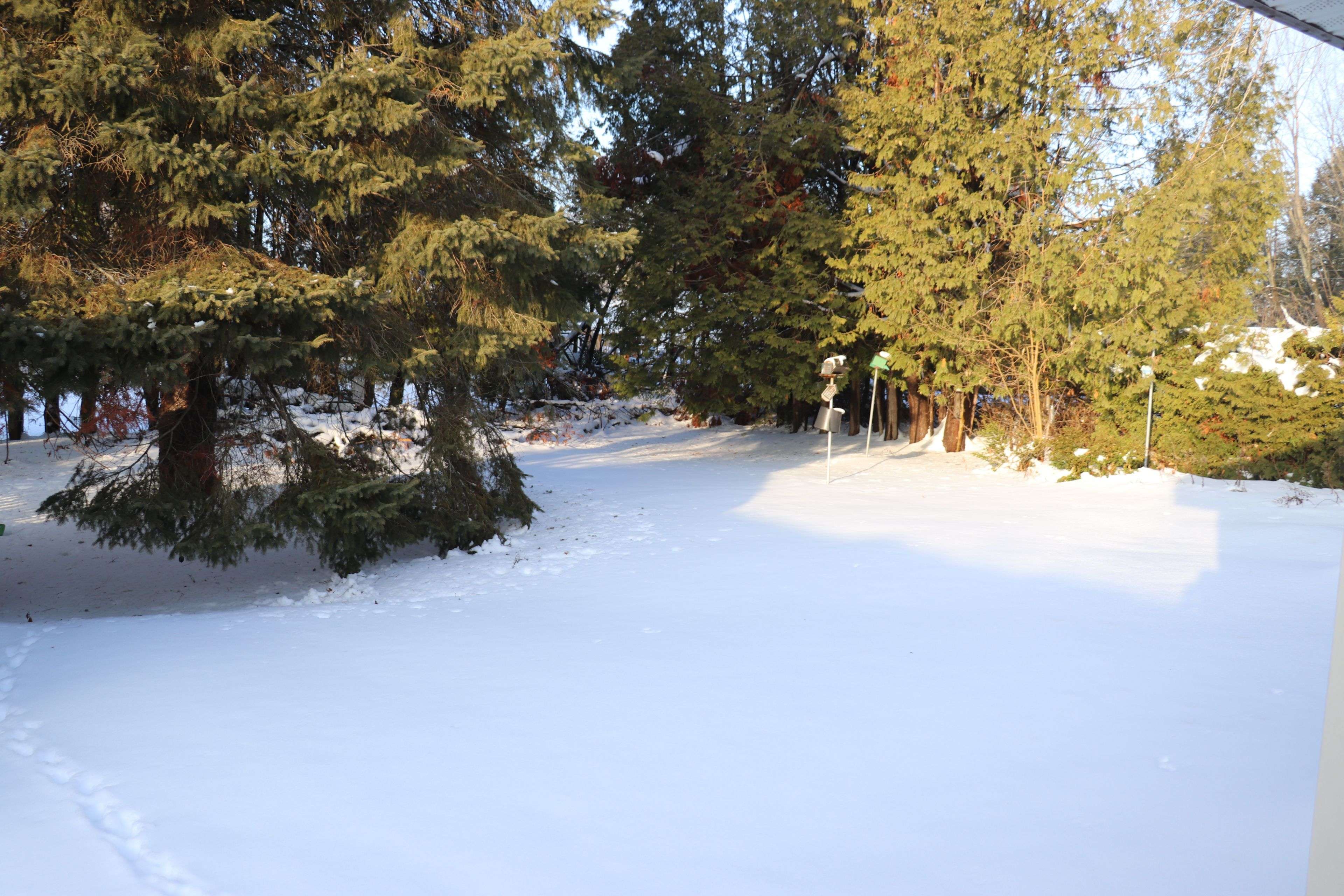 Gravenhurst, ON P1P 1E4,430 Farquhar ST