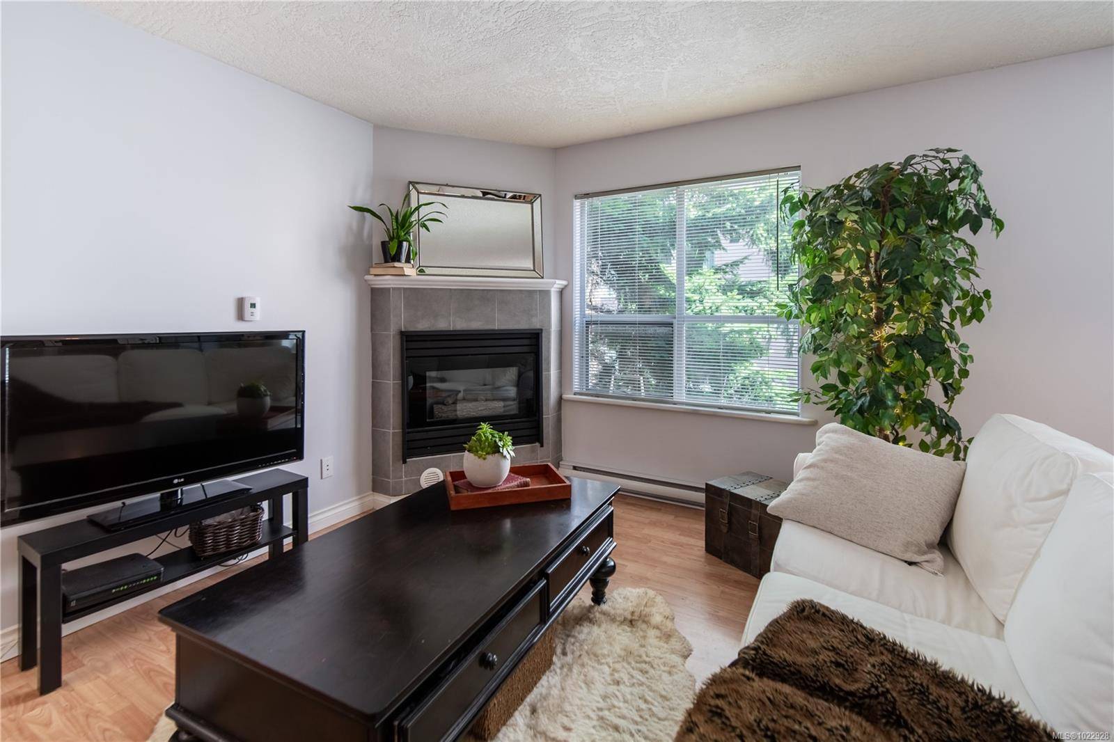 Victoria, BC V8W 1S1,832 Fisgard St #304