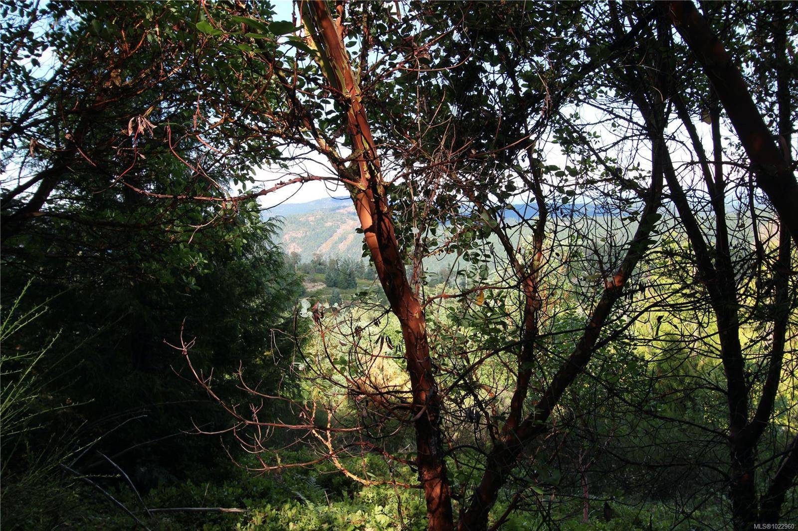 Shawnigan Lake, BC V0R 2L0,Lot 29 Goldstream Heights Dr