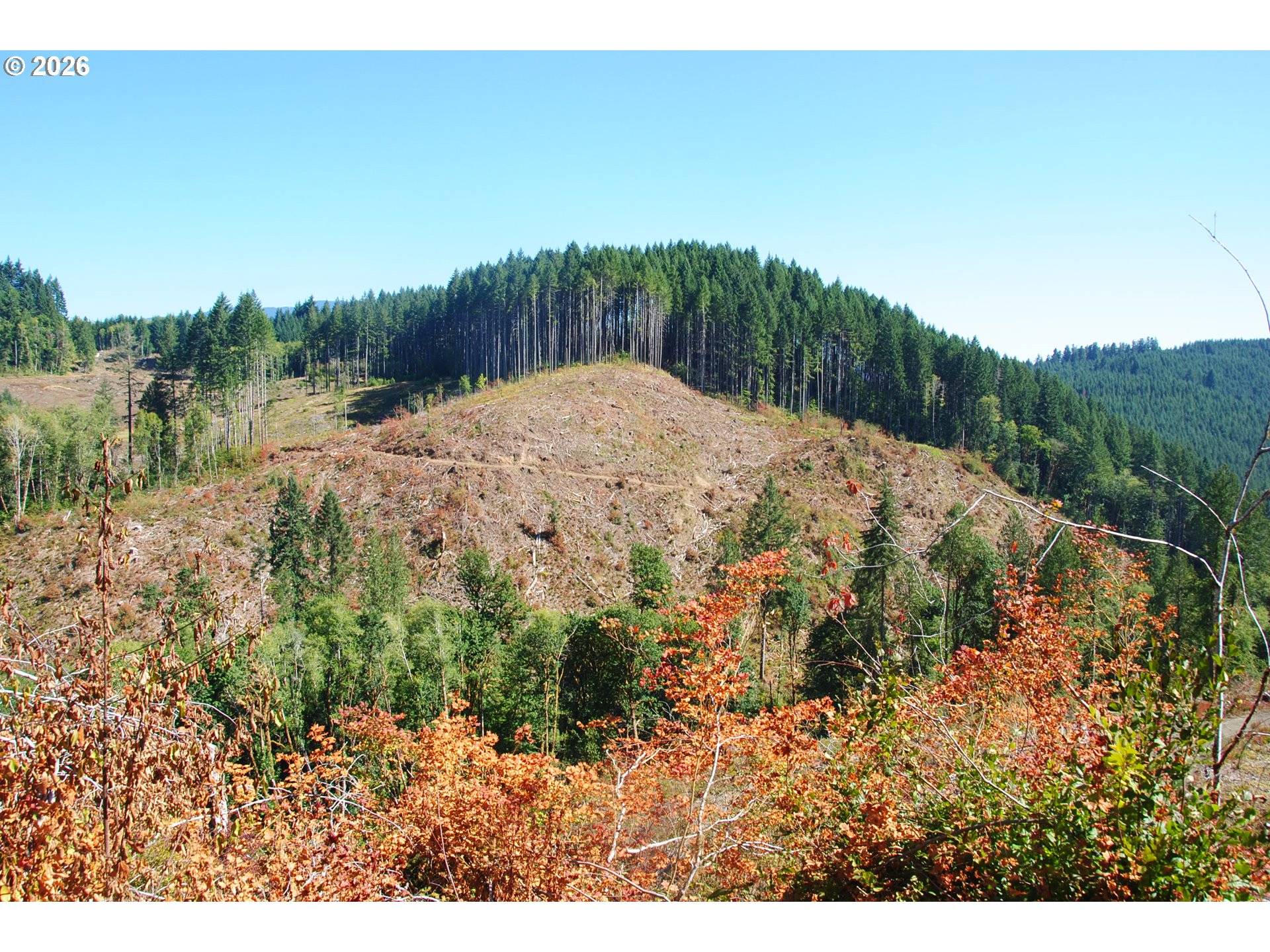 Alsea, OR 97324,00 Van Horn (140) RD