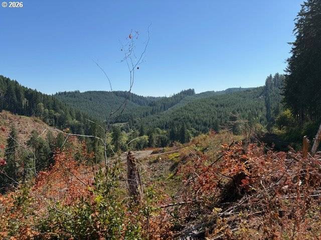 Alsea, OR 97324,00 Van Horn (140) RD