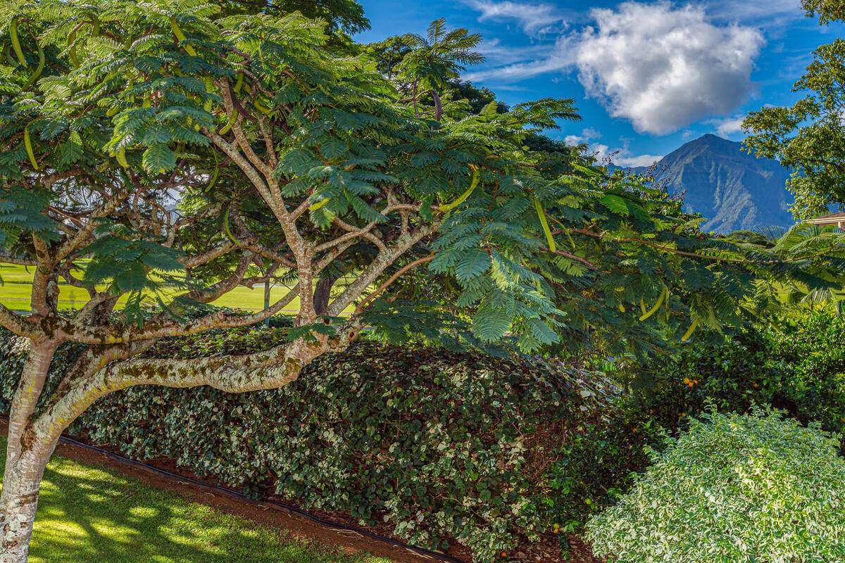 Princeville, HI 96722,4771 PEPELANI LP #921