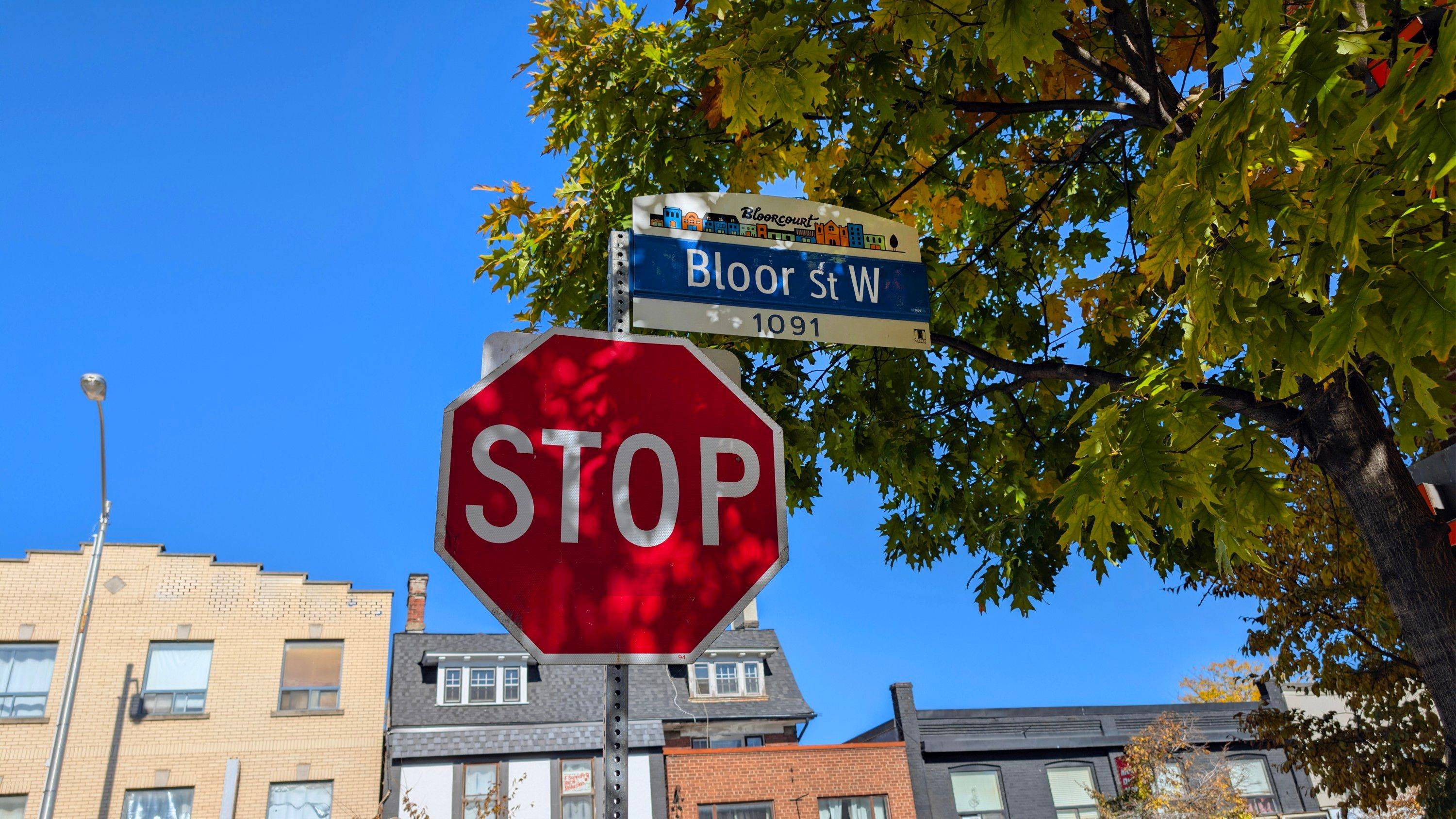 Toronto C01, ON M6H 3J1,519 Gladstone AVE ##1 Basement