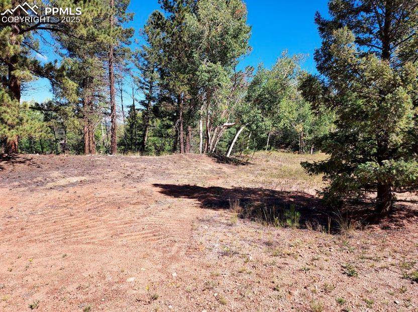 Florissant, CO 80816,1763 County Road 421