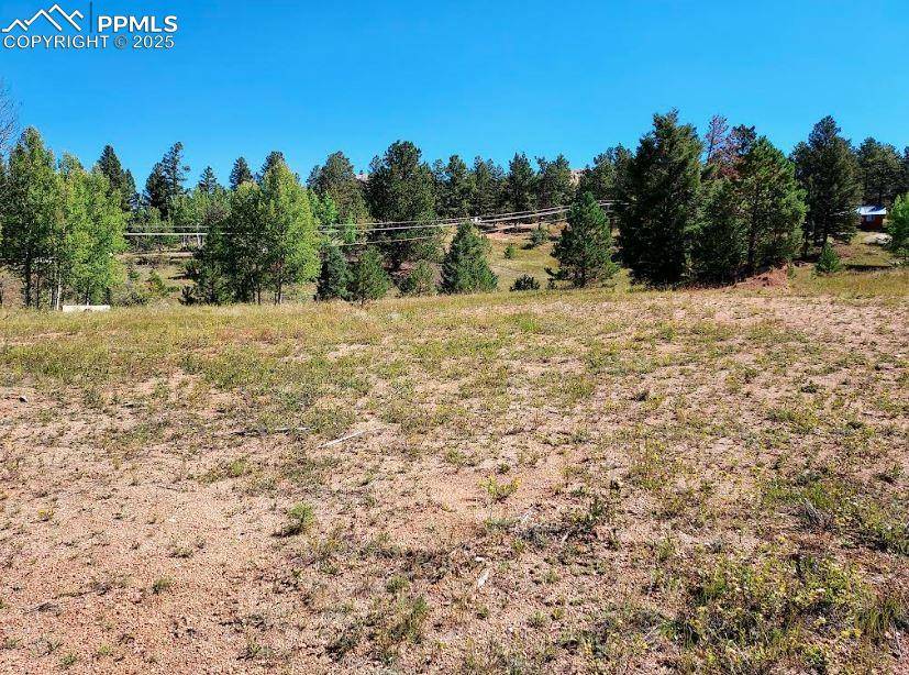 Florissant, CO 80816,1763 County Road 421