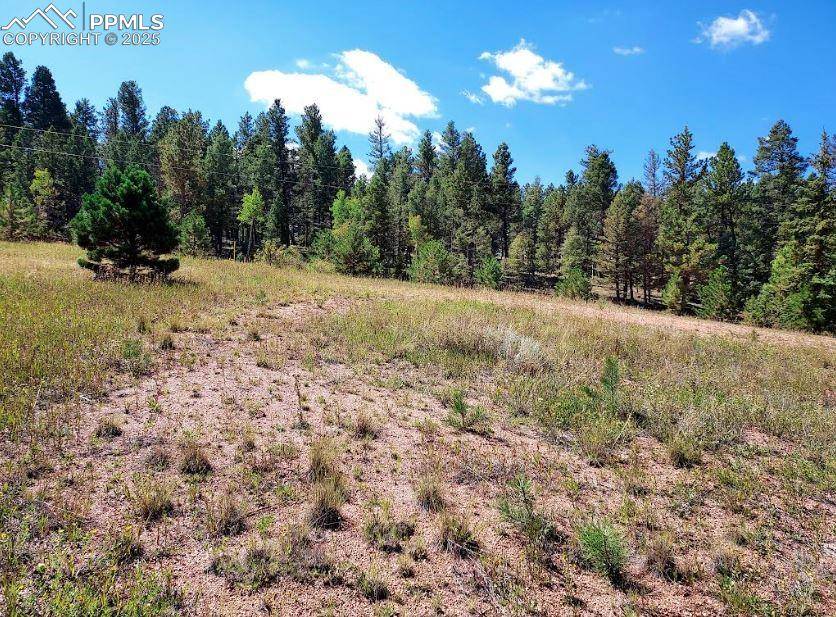 Florissant, CO 80816,1763 County Road 421