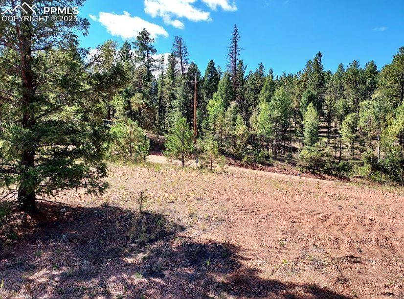 Florissant, CO 80816,1763 County Road 421